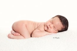ADAM_011_WEB