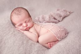 ALICE_037_WEB