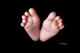 ALICE_046_WEB