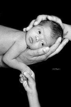 INES_024_WEB