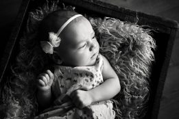 LEA_016_WEB