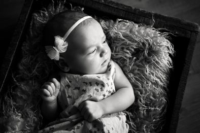 LEA_016_WEB