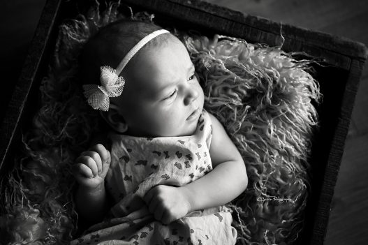LEA_016_WEB