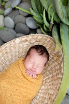 MAIA_042_WEB