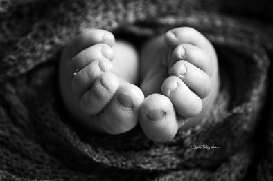 PAUL_014_WEB
