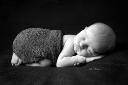 PAUL_023_WEB