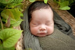 SOHANN_011_WEB
