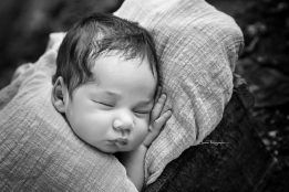 SOHANN_020_WEB